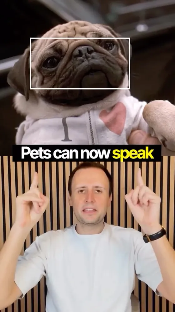 Cover of Alan’s Pettichat product video